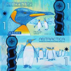 Antartica1-2015x