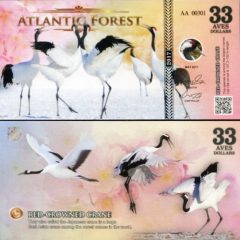 AtlanticForest33-2017