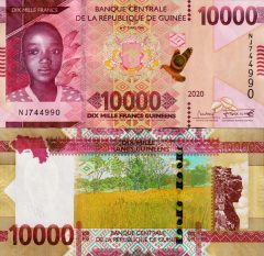 Guinea10000-2020x