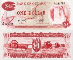 Guyana1-1992x