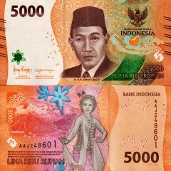 Indonesia5000-2022y