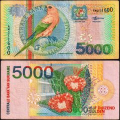 Suriname5000-2000-AM211