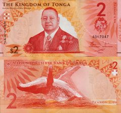 Tonga2-2023x